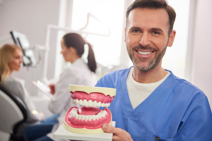 smiling-dentist-showing-artificial-dentures